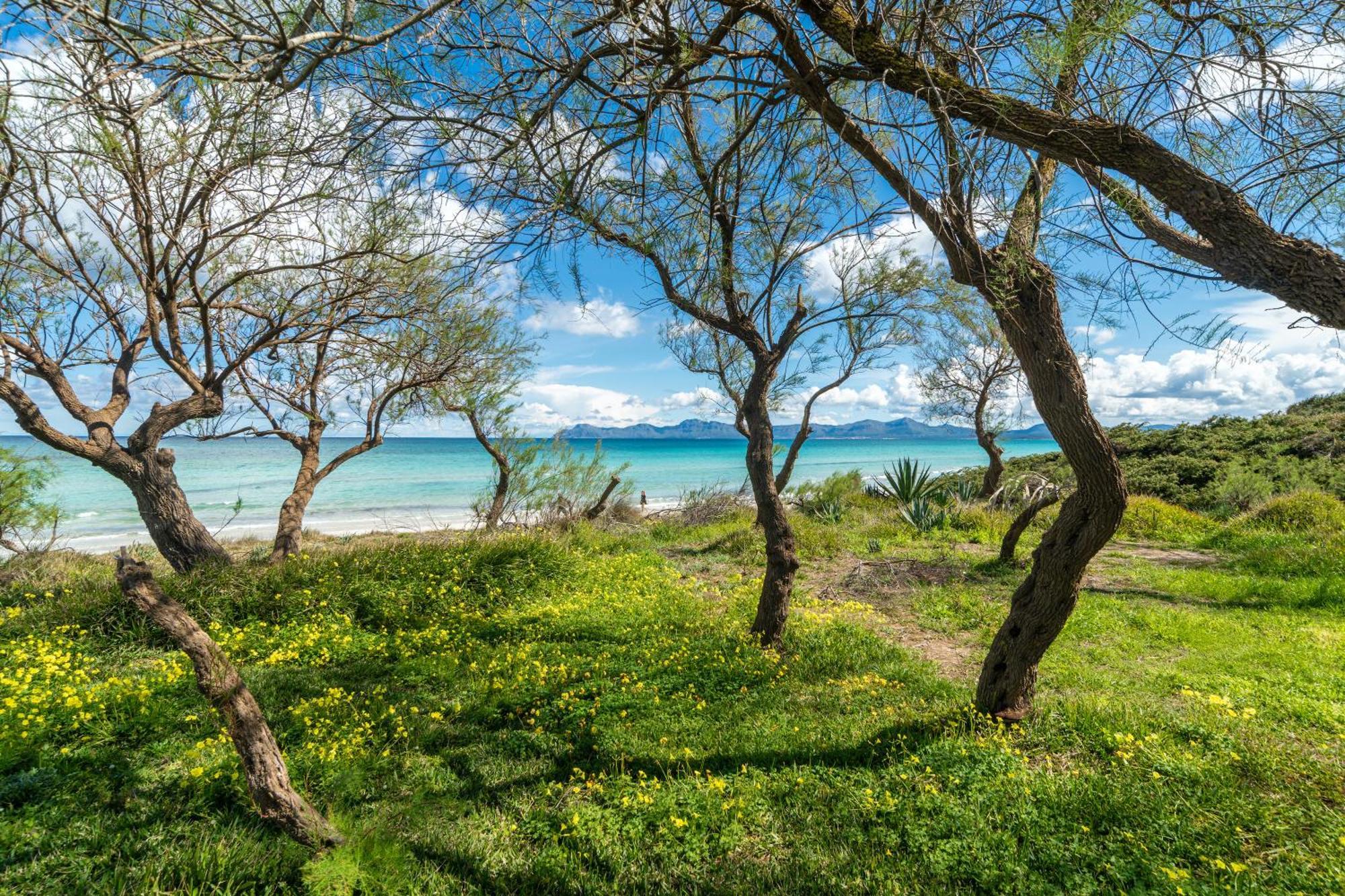 Villa Can Canta Natura Park House At Platja De Muro Beach ภายนอก รูปภาพ