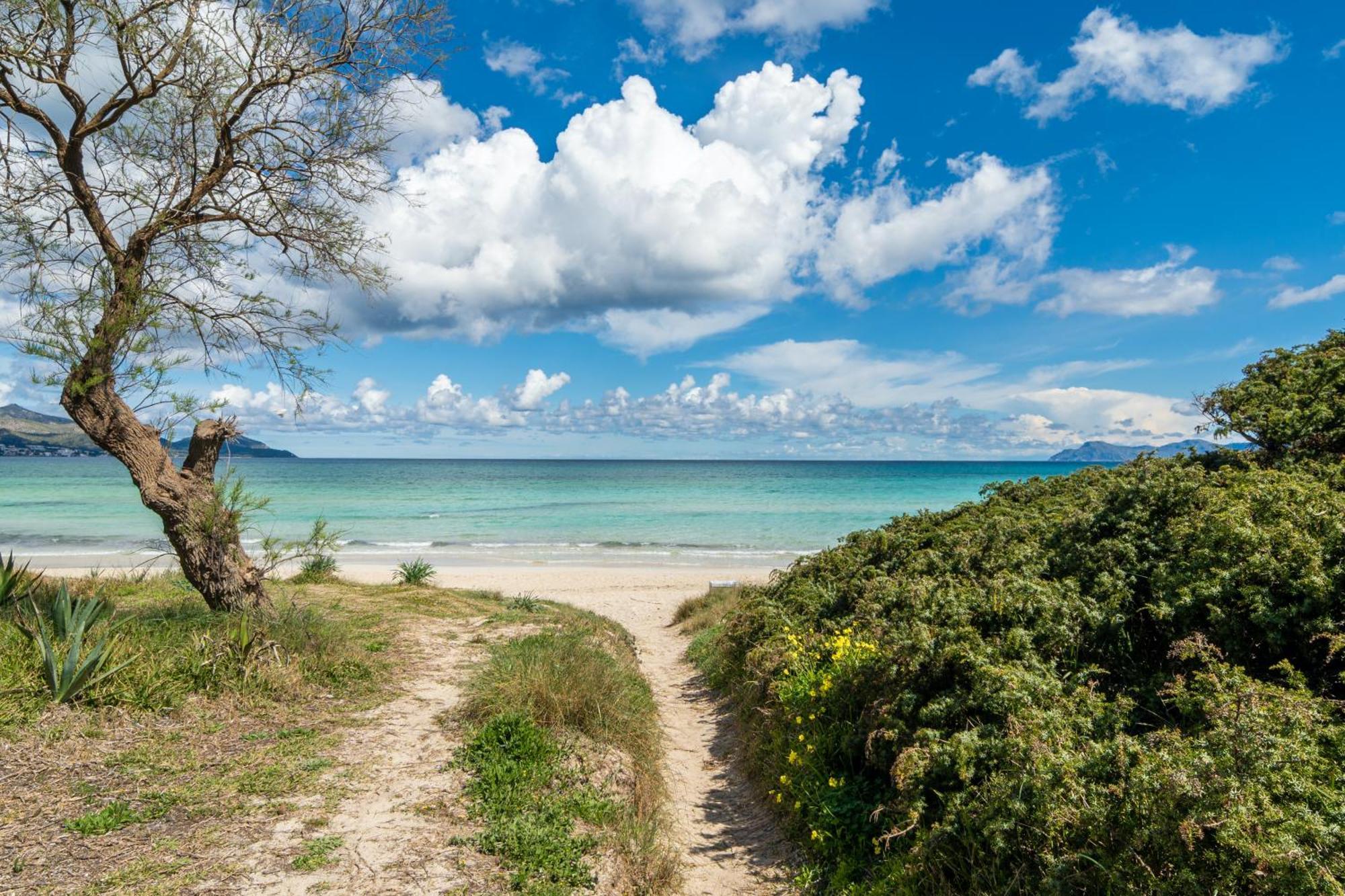Villa Can Canta Natura Park House At Platja De Muro Beach ภายนอก รูปภาพ